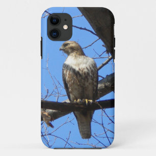 Coque Case-Mate Pour iPhone Bird Of Prey iPhone 5 coque
