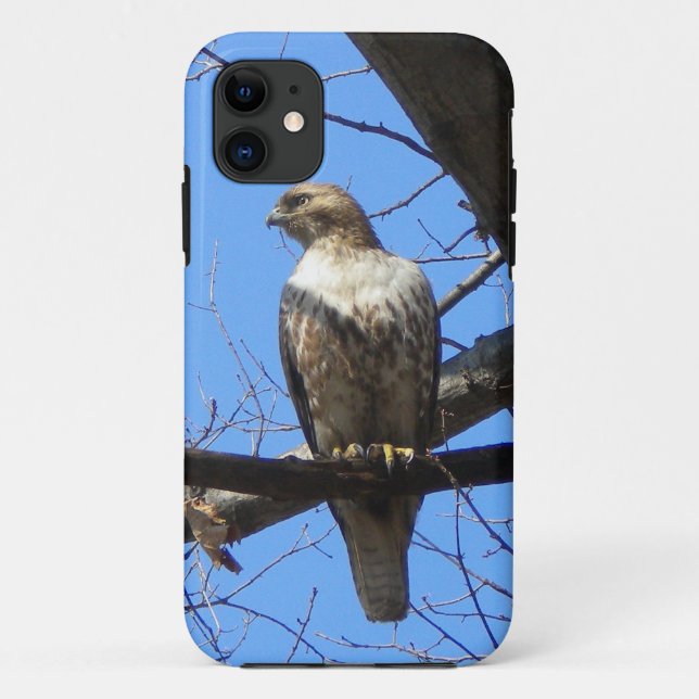 Coque Case-Mate Pour iPhone Bird Of Prey iPhone 5 coque (Dos)