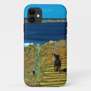 Coque Case-Mate Pour iPhone Chinois arrêté Chiot Steal Teddy iPhone Cinq Coque