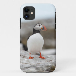 Coque Case-Mate Pour iPhone Coque iphone 5 de macareux