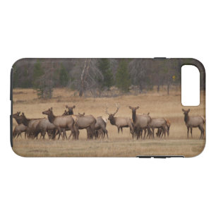 Coque Case-Mate Pour iPhone Coque-Mate Tough Plus iPhone 7 Coque Colorado Elk