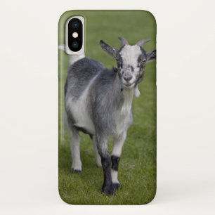 Coque Case-Mate Pour iPhone Coque Pygmy chèvre iPhone X