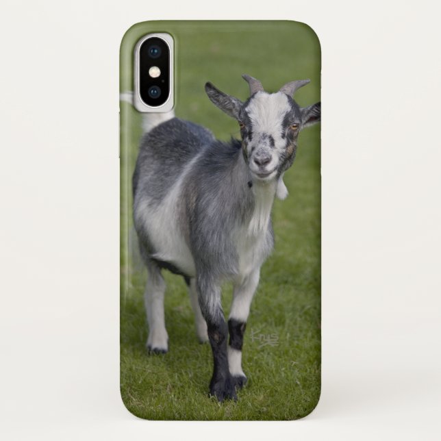 Coque Case-Mate Pour iPhone Coque Pygmy chèvre iPhone X (Dos)