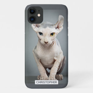Cadeaux Race De Sphynx Zazzle Ca Cadeaux Race De Sphynx Zazzle Ca