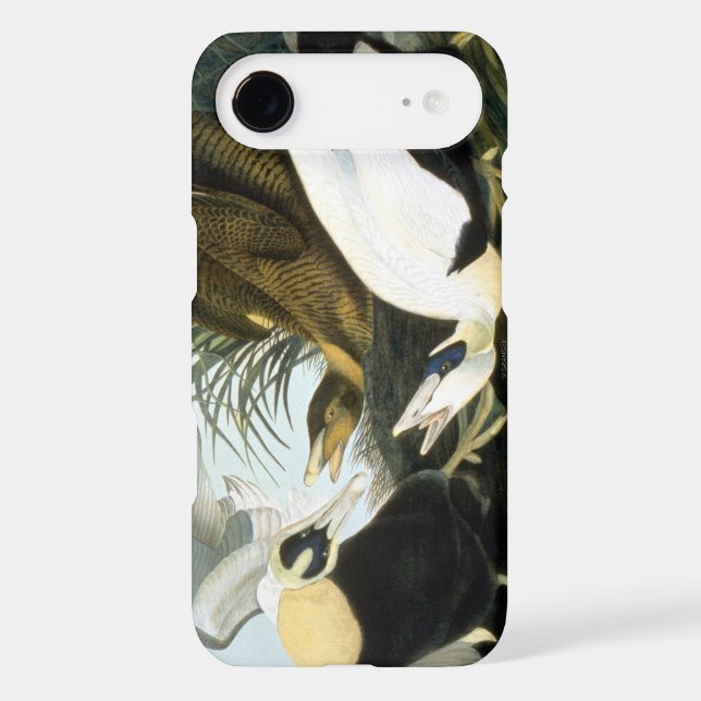 Coque Case-Mate Pour Samsung Galaxy Audubon : Canard d'Eider (Verso)