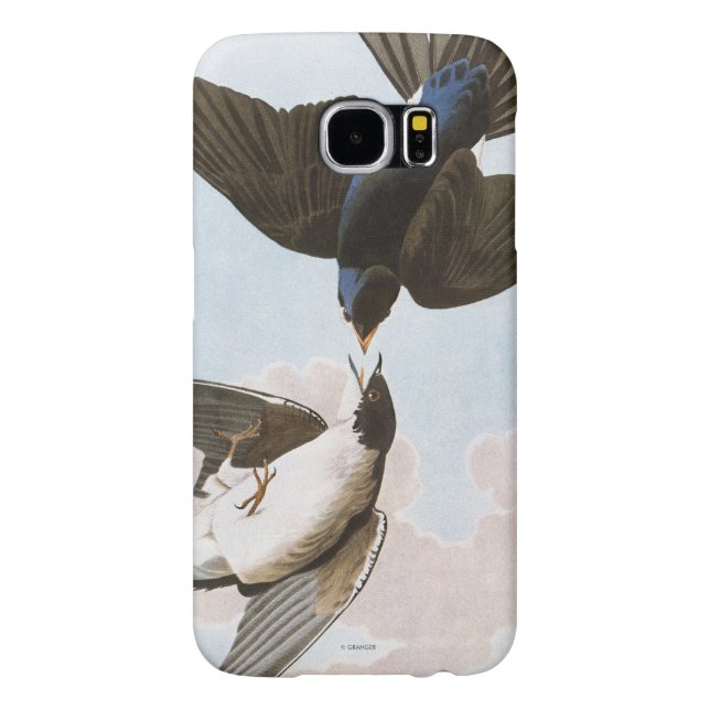 Coque Case-Mate Pour Samsung Galaxy Audubon : Hirondelle d'arbre (Dos)