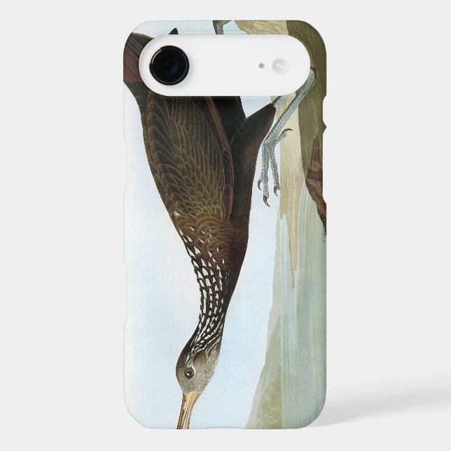 Coque Case-Mate Pour Samsung Galaxy Audubon : Limpkin (Verso)