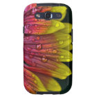 Baisse des pluies orange et jaune