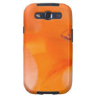 Photographie en gros plan orange de fleurs de Bell