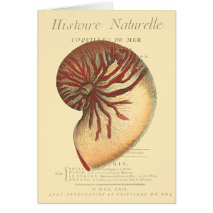 Coque conique rouge vintage