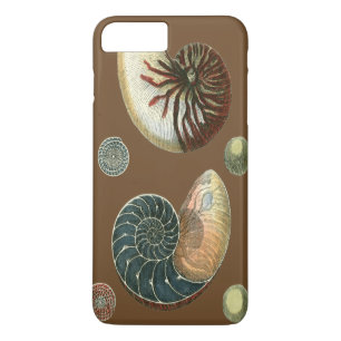 Coque de cacao