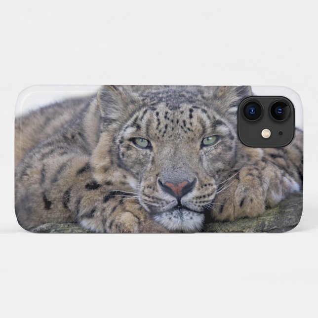 Coque de l'iPhone 11 de Regard vert (Dos (Horizontal))