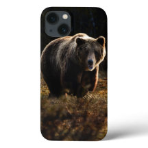 Coque de l'iPhone 13