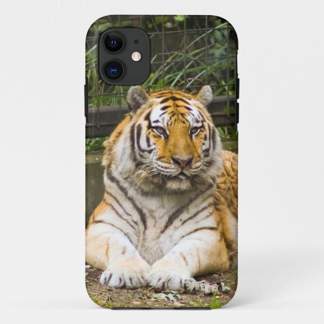Coque de tigre de Sibérie-coque iphone de maté (Dos)