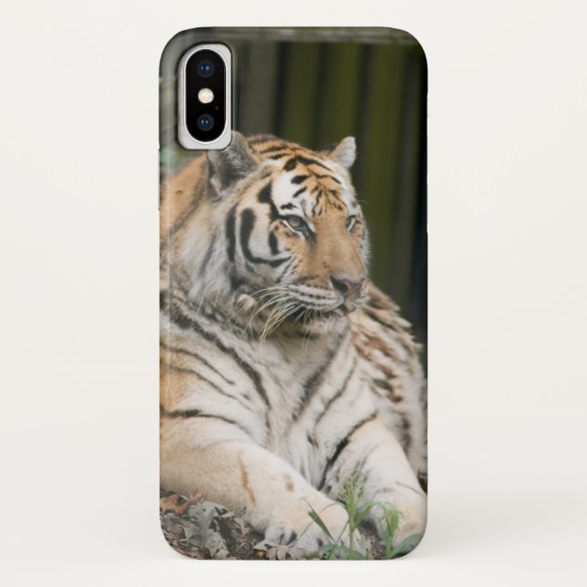 Coque de tigre de Sibérie-coque iphone de maté (Dos)