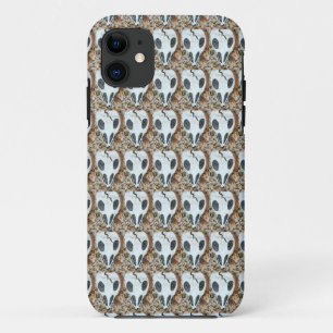 coque du crâne dia del muerte
