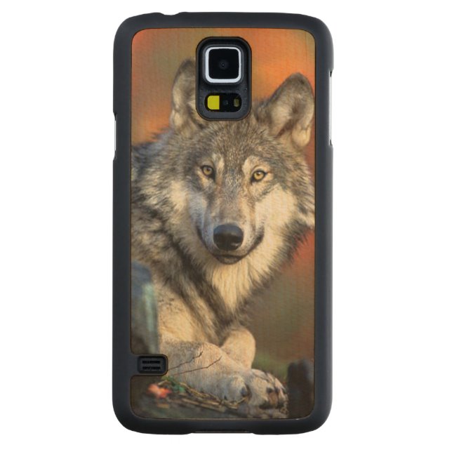 Coque En Érable Galaxy S5 Case Image de photographie de loup (Dos)