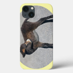 Coque ipad Burro