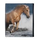 Chevaux d'imaginaire : Éclaboussure d'été