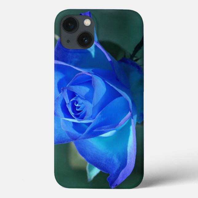 Coque ipad Rose bleu vierge (Verso)
