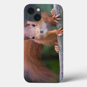 Coque ipad rouge bébé