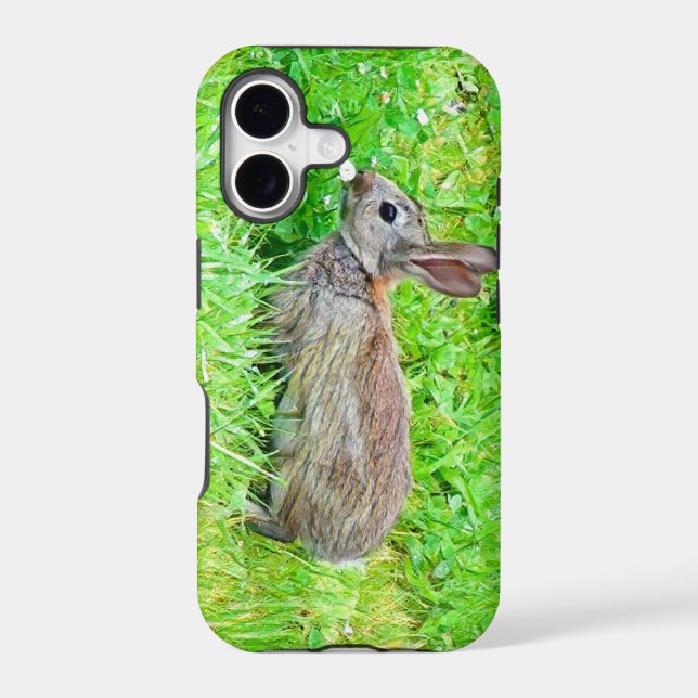 coque iphone (Verso)
