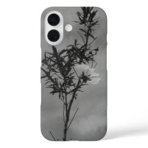 coque iphone 16