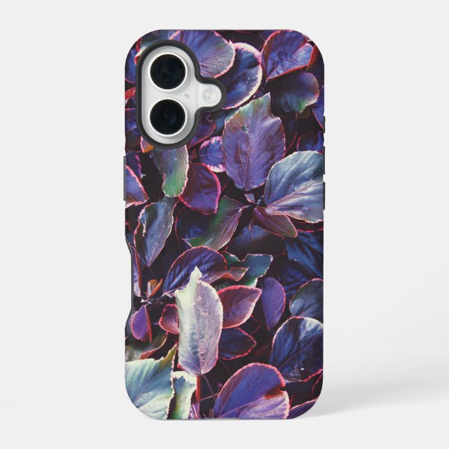 Coque iPhone 16 Acalypha Wilkesiana (Verso)