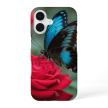 Belle Rose Rouge Papillon -