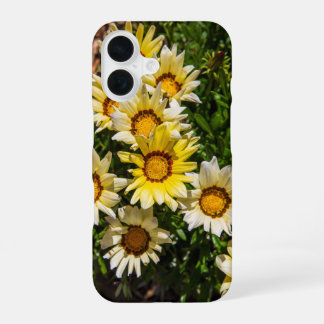 Coque iPhone 16 Belles fleurs de Gazania jaunes dans le jardin