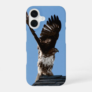 Coque iPhone 16 Buse à queue rousse avec ailes levées Photo faune