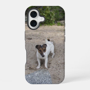 Coque iPhone 16 Capo von Oppenheim Jack Russell Terrier, Chien