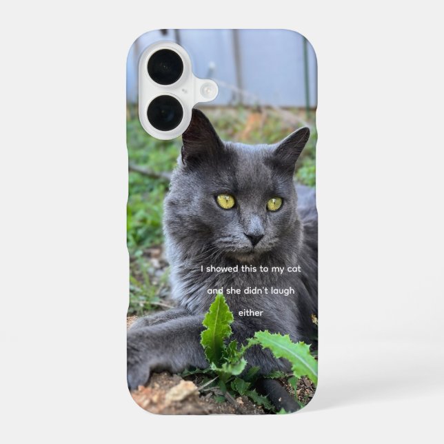 Coque iPhone 16 cat phone case  (Verso)
