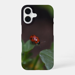 Coque iPhone 16 Coccinelle sur fleurs