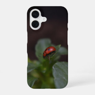 Coque iPhone 16 Coccinelle sur fleurs