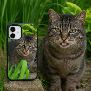 Coque iPhone 16 Cute Tabby Cat Kiss