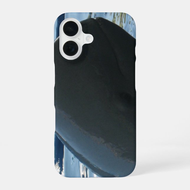 Coque iPhone 16 Dauphin d'Irrawaddy Cache-Cache (Verso)