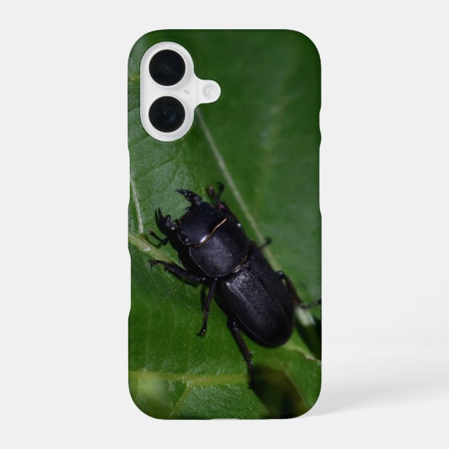Coque iPhone 16 Dorcus parallelipipedus, le moindre dendroctone du (Verso)