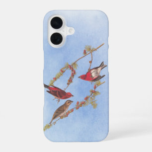 Coque iPhone 16 Étui d'art vintage du pinson pourpre d'Audubon -