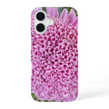 Étui iPhone 16 Aster Floral Rose