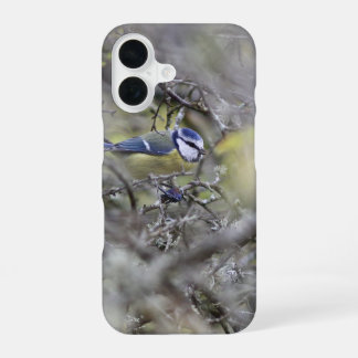 Coque iPhone 16 la mésange bleue