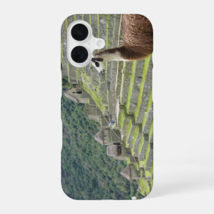 Coque iPhone 16 lama