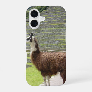 Coque iPhone 16 lama 3