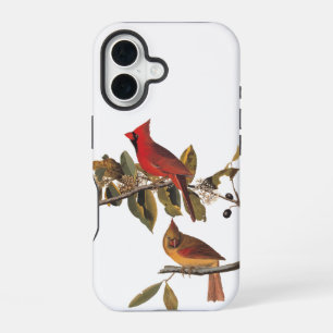 Coque iPhone 16 Paire cardinale Audubon en amandiers sauvages