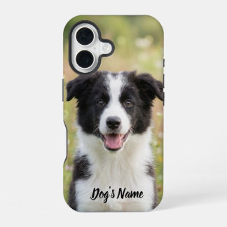 Coque iPhone 16 Photo de Border Collie personnalisé avec nom 