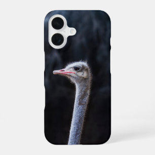 Coque iPhone 16 portrait d'autruche