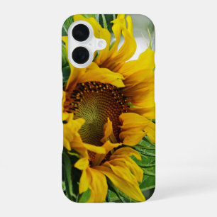 Coque iPhone 16 Tournesol