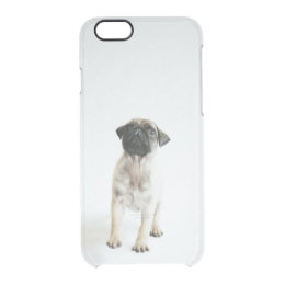 coque iphone 6 carlin coque iphone 6 carlin