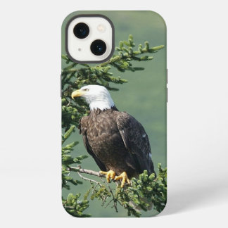 Etui iPhone 13 Aigle de Bald