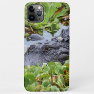 Coque iPhone 11Pro Max Alligator américain parmi les plantes - Vibrant
